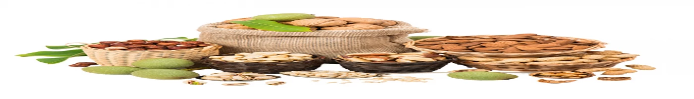 banner category